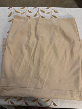 Topshop Light Beige Pencil Skirt